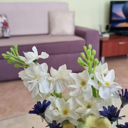 Casa Del Mar شقة *