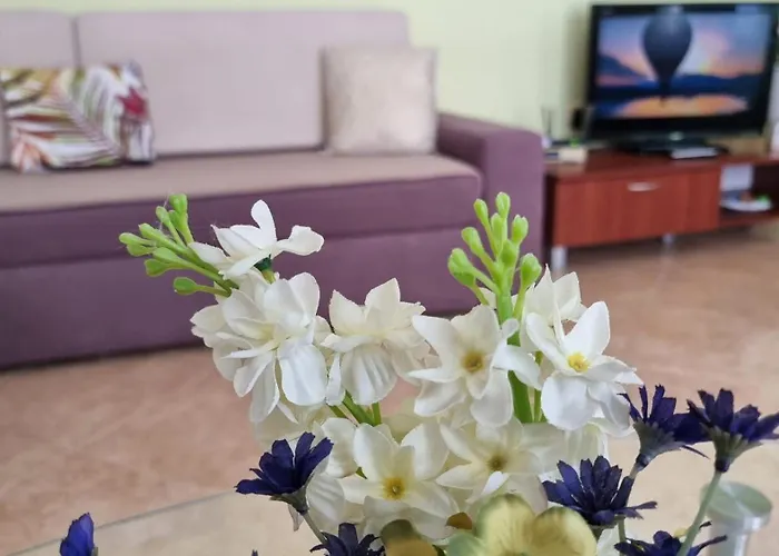 Casa Del Mar 公寓 *